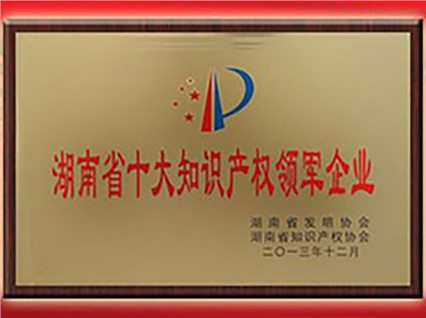 热烈庆祝“湘潭恒欣”被评为“首届湖南省十大知识产权领军企业”